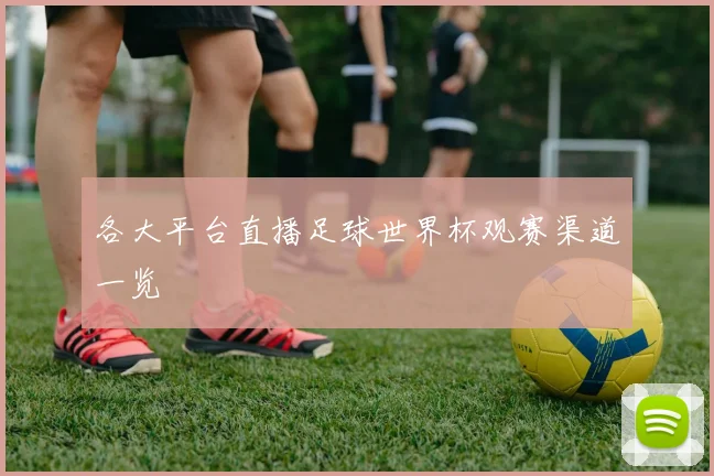 各大平台直播足球世界杯观赛渠道一览