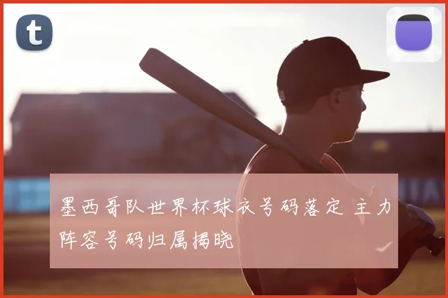 墨西哥队世界杯球衣号码落定 主力阵容号码归属揭晓