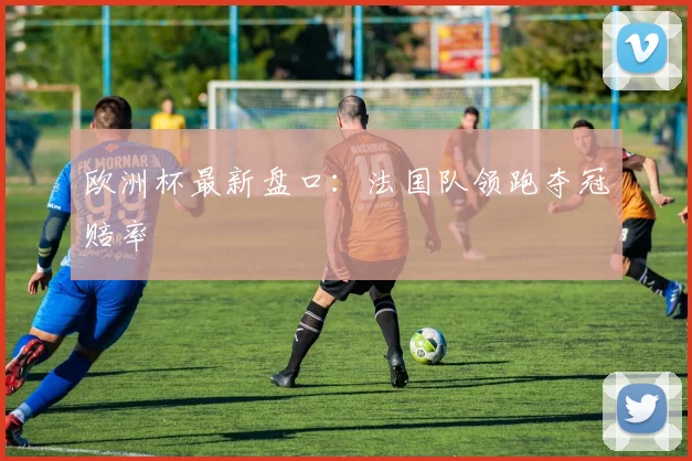 欧洲杯最新盘口:法国队领跑夺冠赔率